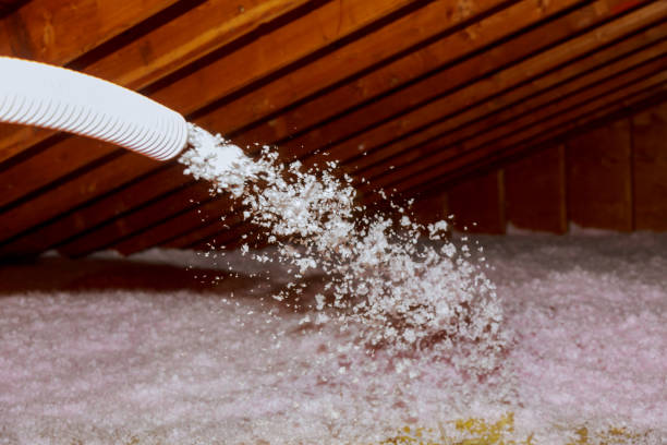 Best Insulation Maintenance and Repair in Chocowinity, NC